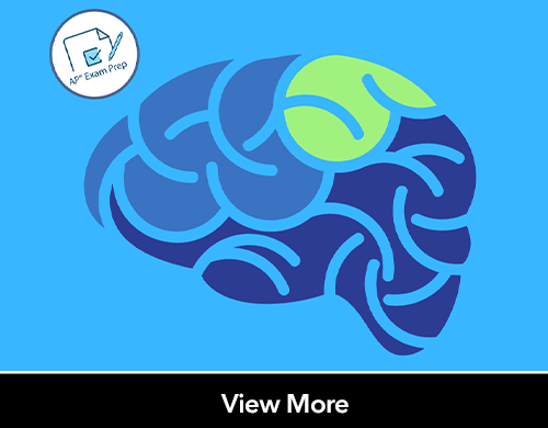 Illustration of human brain 