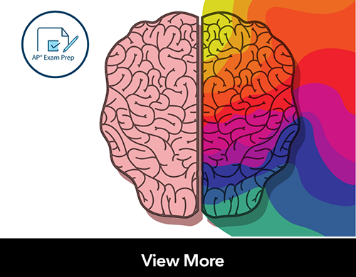 Illustration of brain. Left side is pink, right side is rainbow. Circular stamp is on the background that reads 